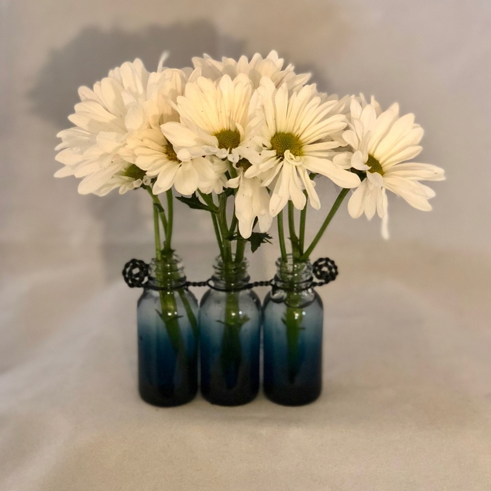 NWOT Francesco Blue Runner Vase (Set of Three)